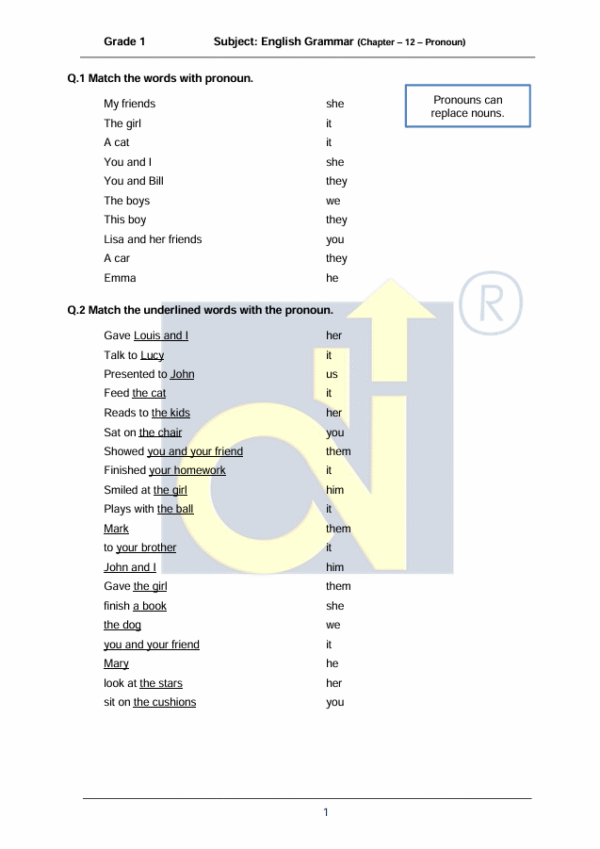 Chapter 12 - Pronoun