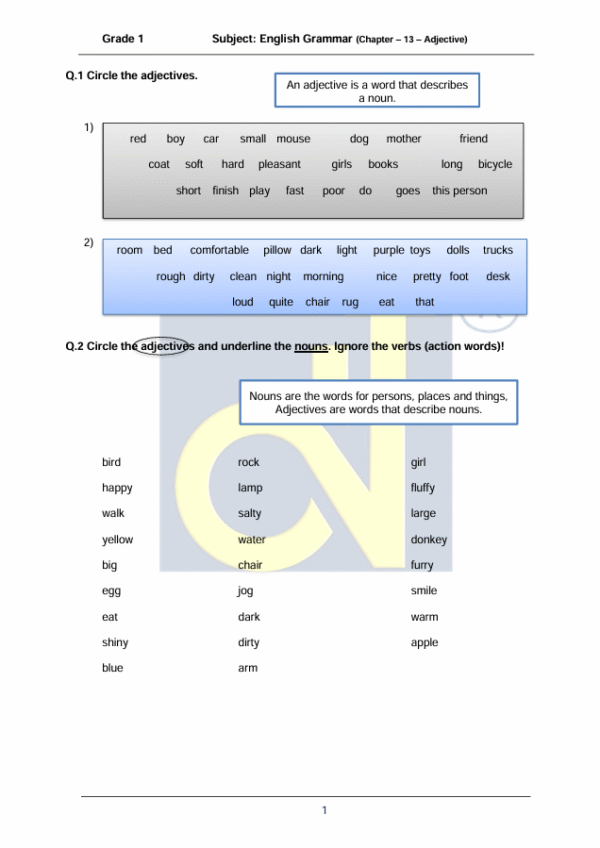 Chapter 13 - Adjective