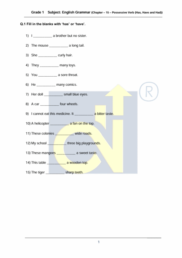 Chapter 15 - Possessive Verb (Has, Have and Had)