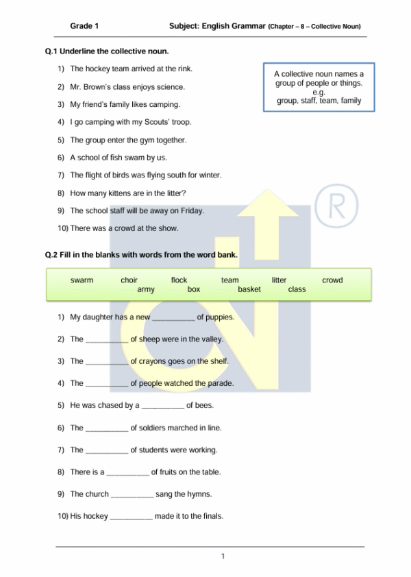 Chapter 08 - Collective Noun